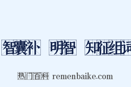 智囊补·明智·知征组词是什么意思的图片